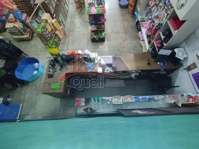 Imagem 4: Pet Center à venda, Caldas Novas GO, Centro, Pronto para trabalhar