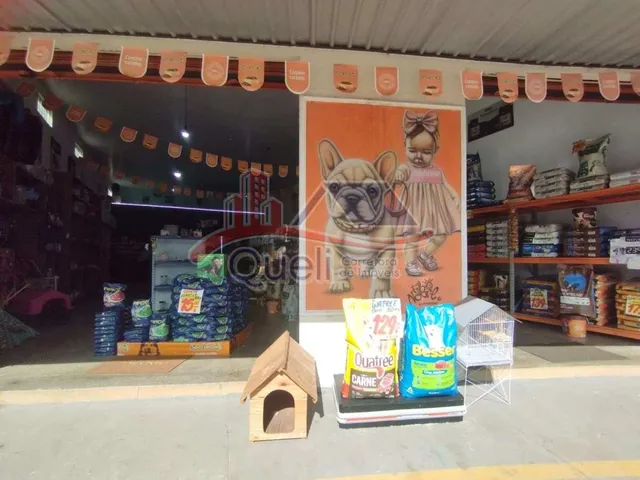 Imagem 8: Pet Center à venda, Caldas Novas GO, Centro, Pronto para trabalhar