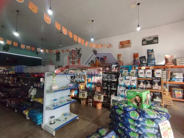 Imagem 9: Pet Center à venda, Caldas Novas GO, Centro, Pronto para trabalhar
