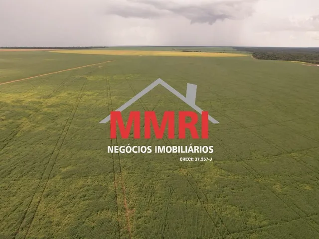 Imagem 15: FAZENDA RURAL em GAÚCHA DO NORTE - MT, Área Rural