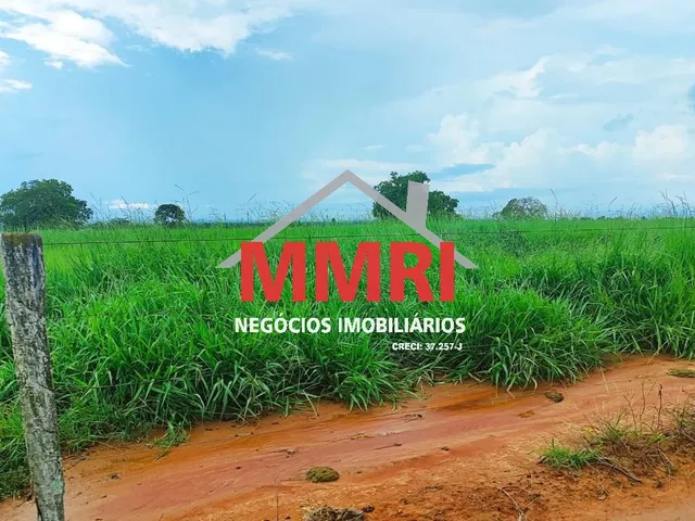 Imagem 8: FAZENDA RURAL em GAÚCHA DO NORTE - MT, Área Rural