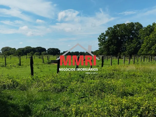 Imagem 2: FAZENDA RURAL em GAÚCHA DO NORTE - MT, Área Rural