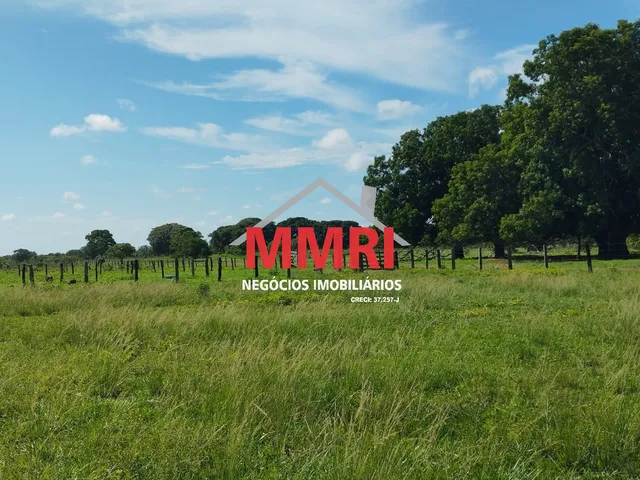 Imagem 10: FAZENDA RURAL em GAÚCHA DO NORTE - MT, Área Rural