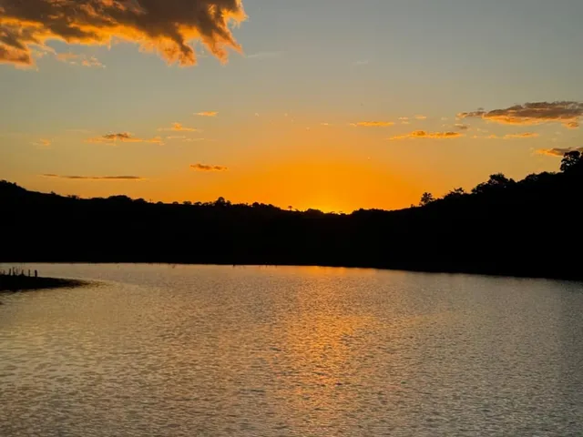 Imagem 2: Excelente fazenda de patrão para venda na região de Uberaba com 500 hectares, pecuária