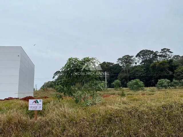Imagem 3: Terreno no Prolongamento da Avenida