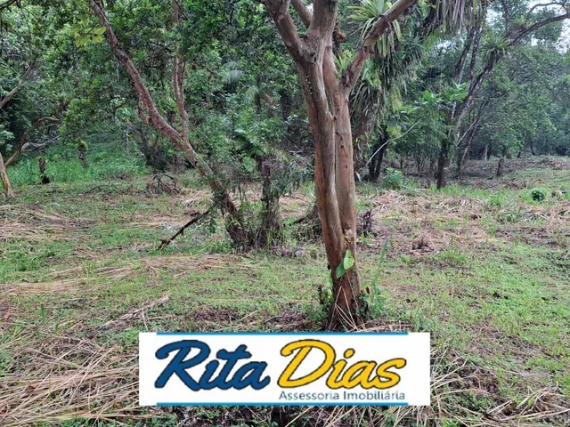 Imagem 13: Chácara à venda no bairro cacatu - Antonina/PR