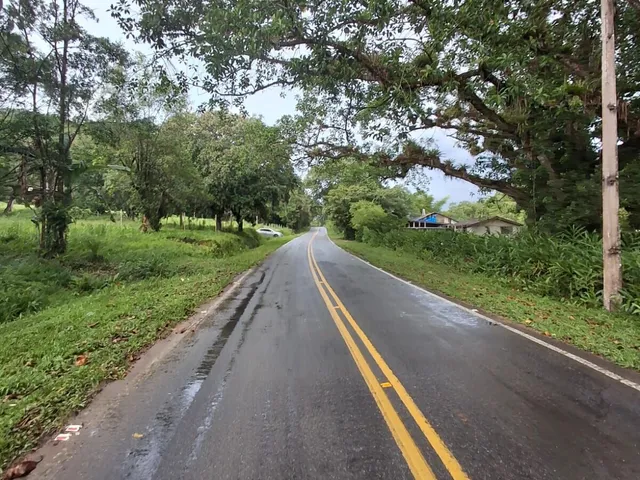 Imagem 15: Chácara à venda no bairro cacatu - Antonina/PR