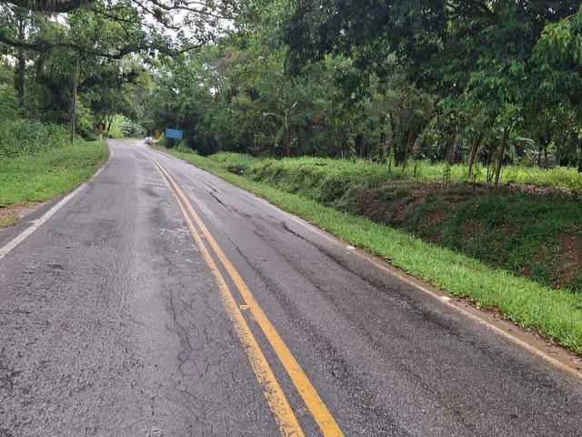 Imagem 11: Chácara à venda no bairro cacatu - Antonina/PR