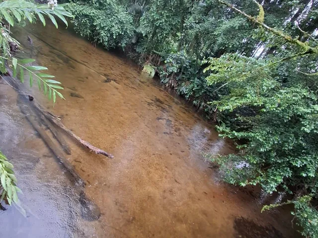 Imagem 3: Chácara à venda no bairro cacatu - Antonina/PR