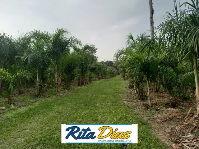 Imagem 8: Fazenda / sítio