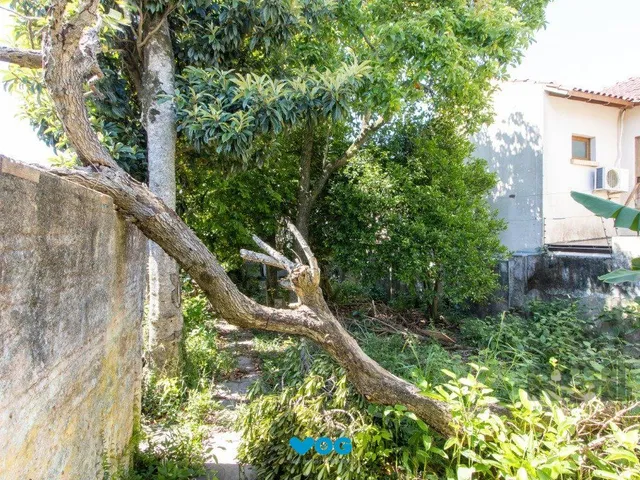 Imagem 10: Casa de 4 dormitórios, 1 suíte, 4 vagas, no bairro Tristeza!
