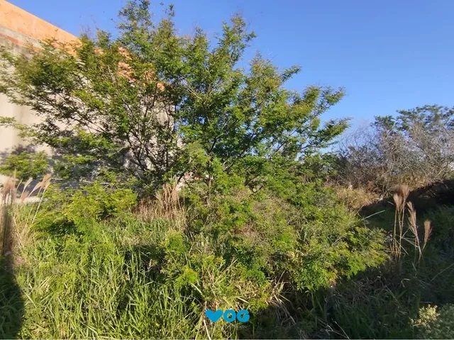 Imagem: Terreno à venda Brigadeira Canoas/RS
