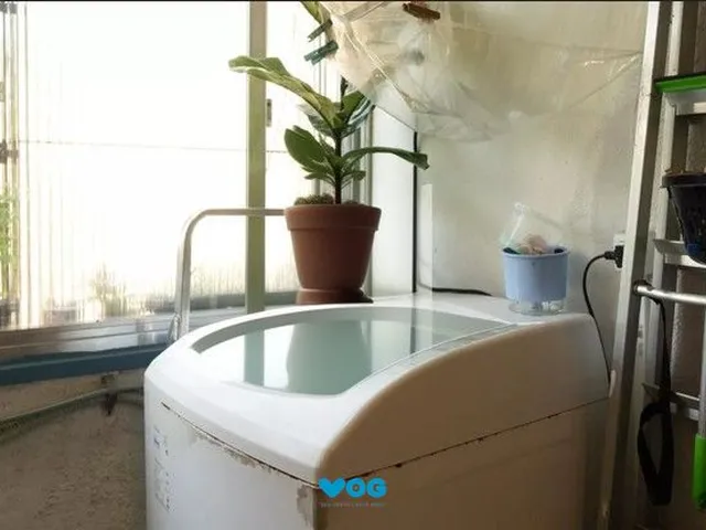 Imagem 4: Apartamento à venda com 2 quartos e 1 vaga