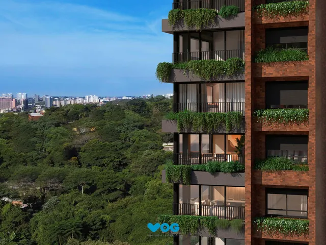 Imagem 9: Apartamento 2 dormitórios à venda Três Figueiras Porto Alegre/RS