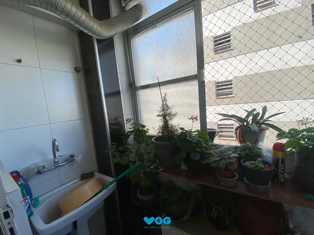 Imagem 7: Apartamento a venda 4 dormitórios bairro Independência