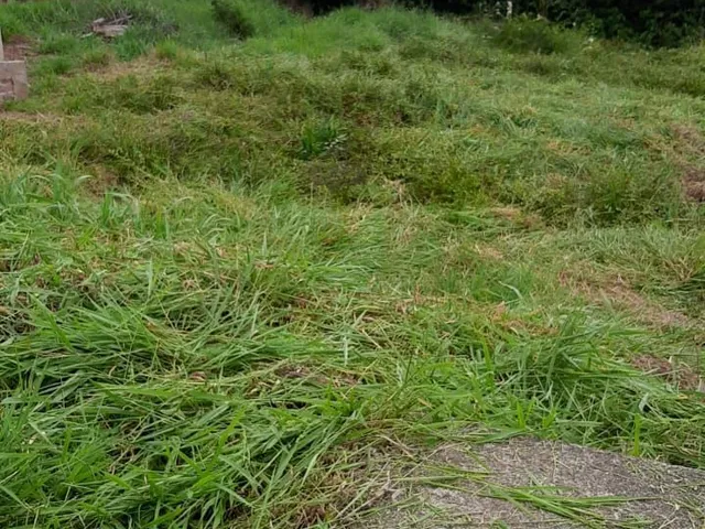 Imagem 8: Terreno 414M² em Santo Antonio da Patrulha- Rs