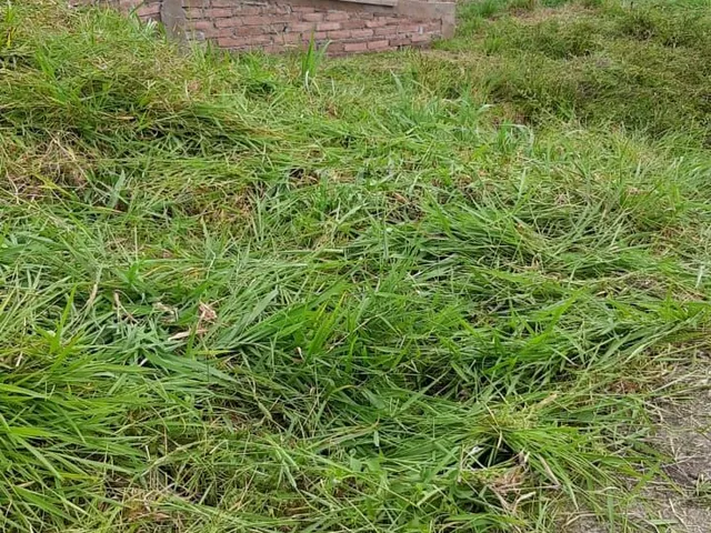 Imagem 2: Terreno 414M² em Santo Antonio da Patrulha- Rs