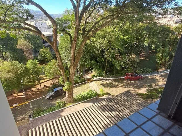 Imagem 10: Apartamento 3 dormitórios à venda Teresópolis Porto Alegre/RS