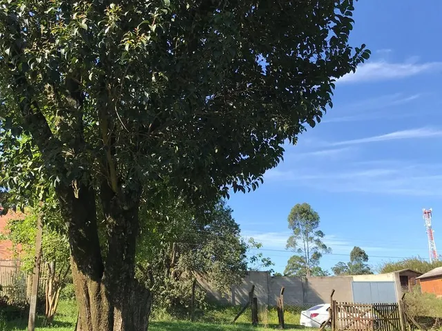 Imagem: Terreno à venda Neópolis Gravataí/RS