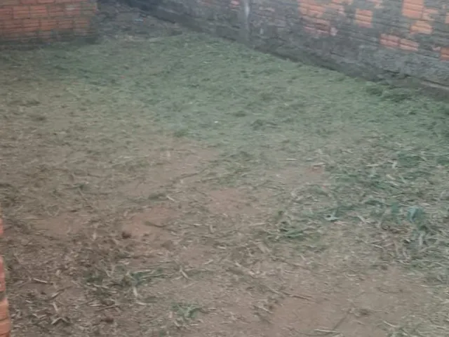 Imagem 12: Casa em Terreno de 420 Metros em Viamão Rs