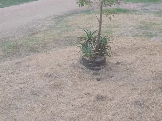 Imagem 11: Casa em Terreno de 420 Metros em Viamão Rs