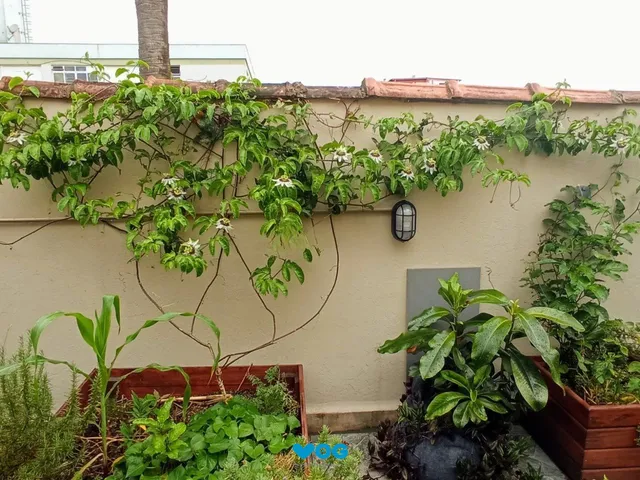 Imagem 8: Apartamento de 1 dormitório no bairro Menino Deus em Porto Alegre