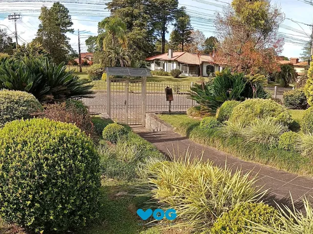 Imagem 5: Casa em Canela, Alto Padrão, Mobiliada 390m2