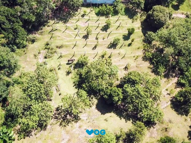 Imagem 11: Terreno à venda Nonoai Porto Alegre/RS