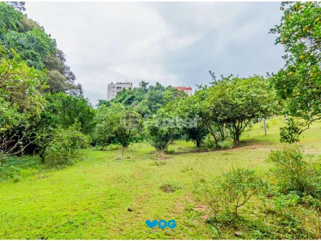 Imagem 6: Terreno à venda Nonoai Porto Alegre/RS