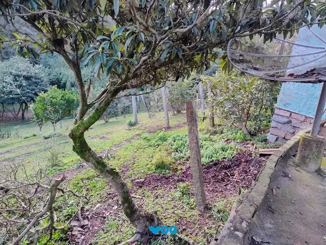 Imagem 16: Terreno à venda Nonoai Porto Alegre/RS