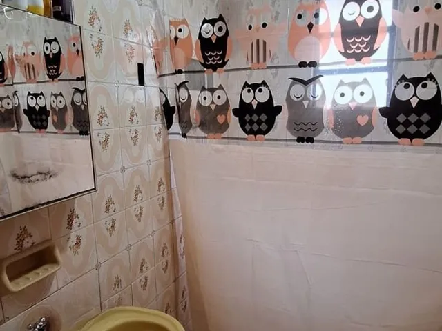 Imagem 15: Casa de 4 dormitórios e 4 vagas de garagem em Canoas