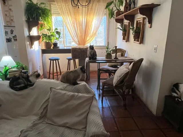 Imagem 14: Apartamento 2 Dormitórios com 61,50m² em Condomínio com Lazer Completo e Rua Tra