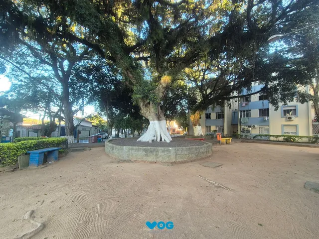 Imagem 5: Apartamento a venda de 3 dormitórios no bairro Vila Nova