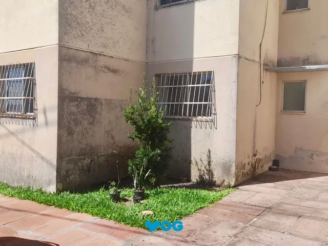 Imagem 5: Apartamento com 2 quartos à venda na Rua Intendente Alfredo Azevedo, Glória