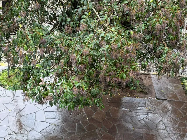 Imagem 15: Sala comercial no Petrópolis