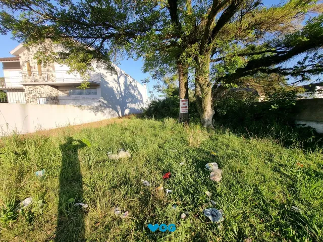 Imagem 5: Terreno à venda Três Vendas Pelotas/RS