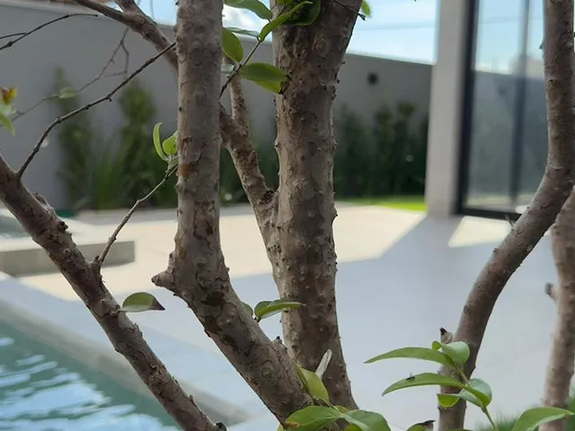 Imagem 11: Condominio Florais Perola