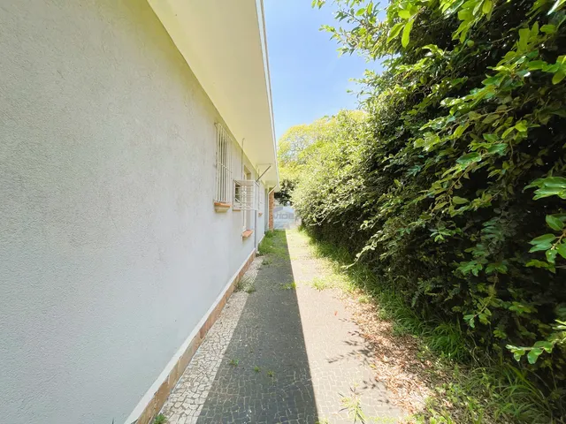 Imagem 3: Casa Comercial para Venda Ou Locação no Cambuí, Campinas