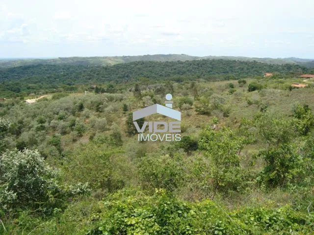 Imagem 2: Sítio em Condomínio de Luxo em Sousas, Campinas-Sp: 20.000M² de Puro Encanto e Sofisticação!