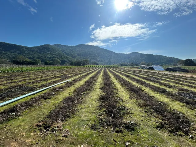 Imagem: Amplo Terreno com Escritura Pública - Sul