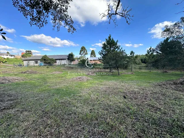 Imagem 4: Terreno à venda em Piraquara, Borda do Campo, 443,87m²