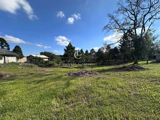 Imagem 6: Terreno à venda em Piraquara, Borda do Campo, 443,87m²
