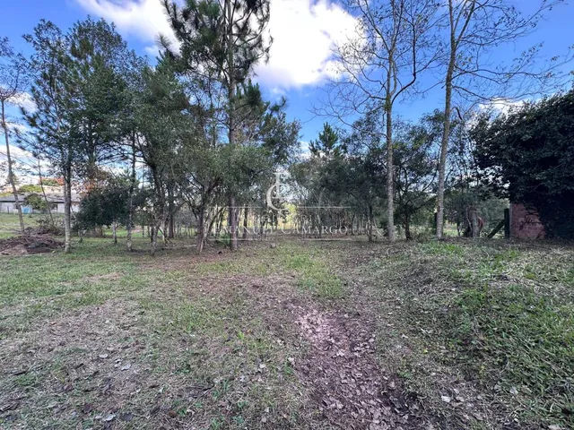 Imagem 8: Terreno à venda em Piraquara, Borda do Campo, 443,87m²