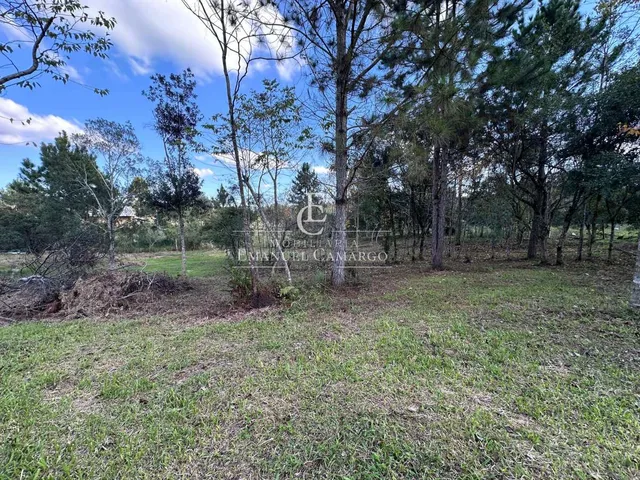 Imagem 11: Terreno à venda em Piraquara, Borda do Campo, 443,87m²