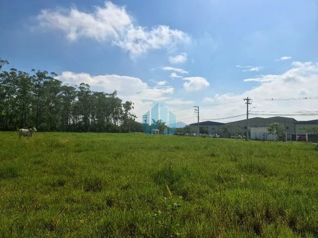 Imagem 3: Amplo Terreno de 1,7 Hectare, a Poucos Minutos das Praias do Rosa e Ouvidor, bairro Limpa