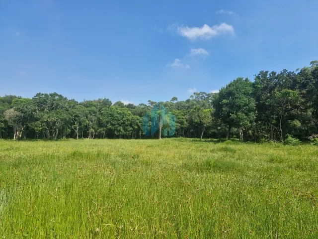 Imagem 2: Amplo Terreno de 1,7 Hectare, a Poucos Minutos das Praias do Rosa e Ouvidor, bairro Limpa