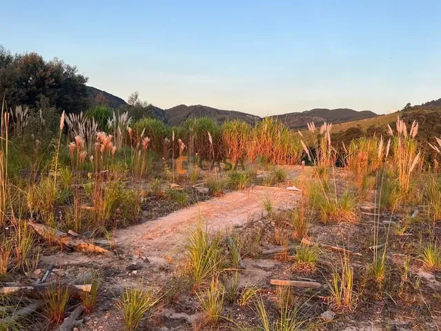 Imagem 6: CHACARA RURAL em CAMPO LARGO - PR, BATEIAS