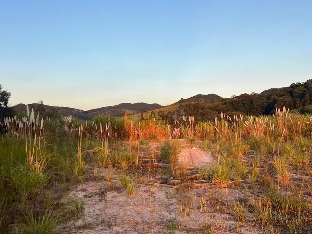Imagem 5: CHACARA RURAL em CAMPO LARGO - PR, BATEIAS