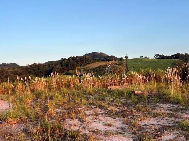 Imagem 2: CHACARA RURAL em CAMPO LARGO - PR, BATEIAS