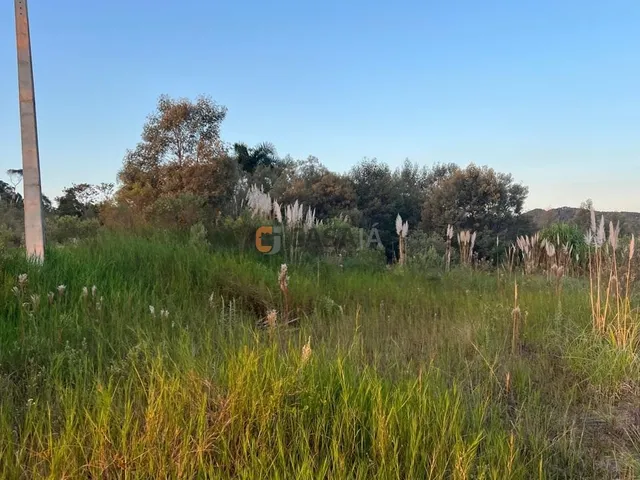 Imagem 11: CHACARA RURAL em CAMPO LARGO - PR, BATEIAS